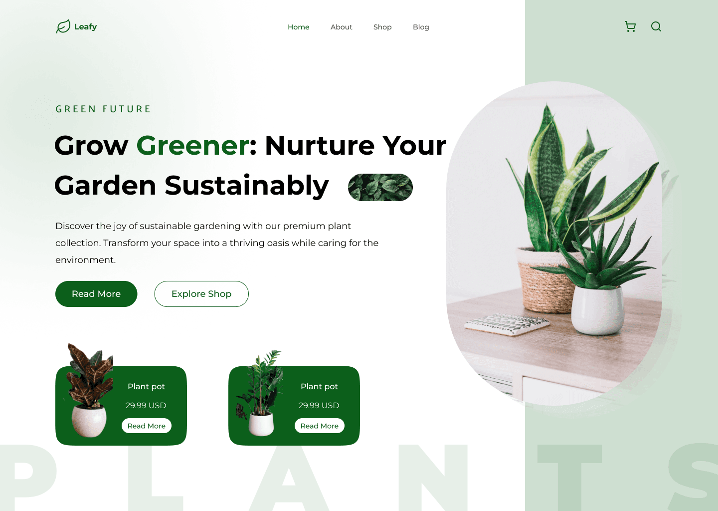 Website Design 12